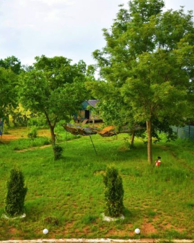 activitati-iasi-cabana (10)