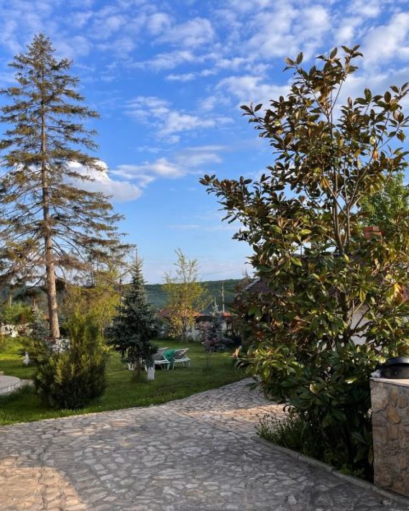 cazare-iasi-cabana-poieni (16)