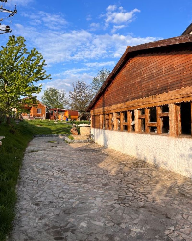 cazare-iasi-cabana-poieni (17)