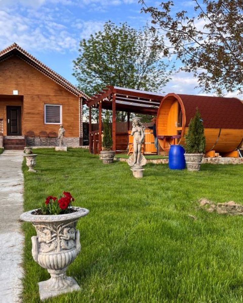 cazare-iasi-cabana-poieni (21)