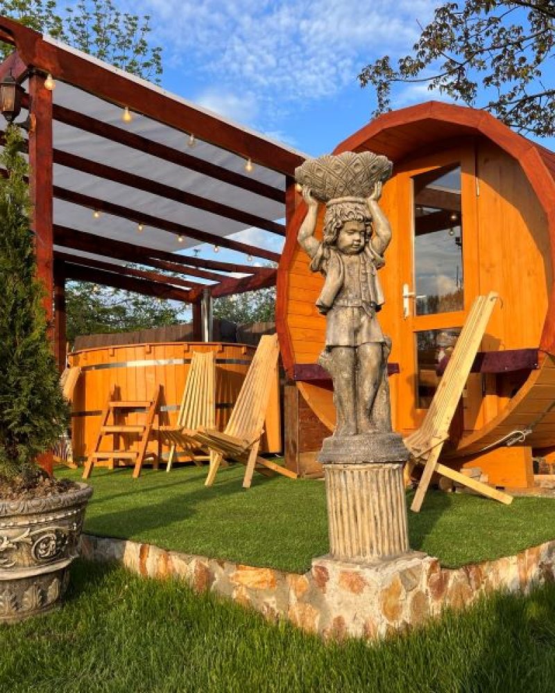 cazare-iasi-cabana-poieni (30)