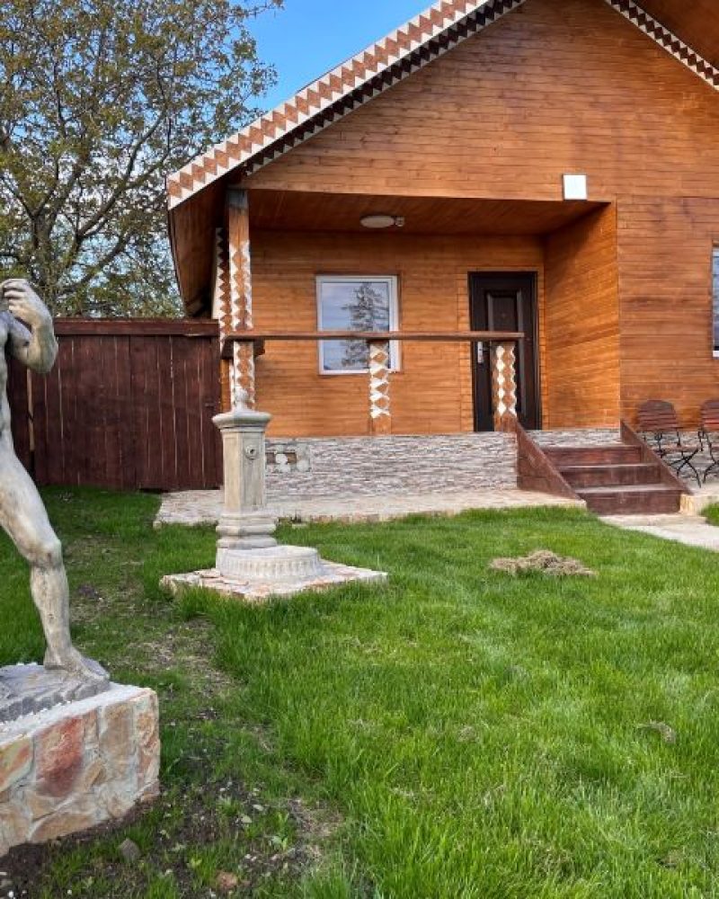 cazare-iasi-cabana-poieni (32)