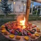 cabana-iasi-nasu-poieni-2026 (7)